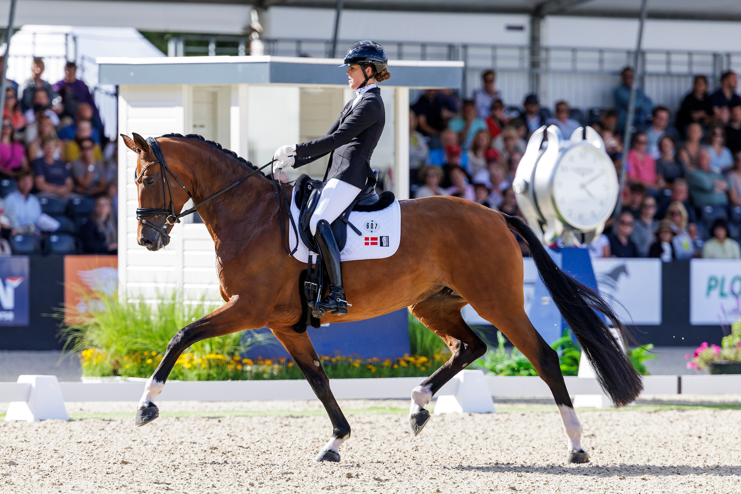 Valerie B – Dorothee Schneiders 25. Burg-Pokal Finalistin