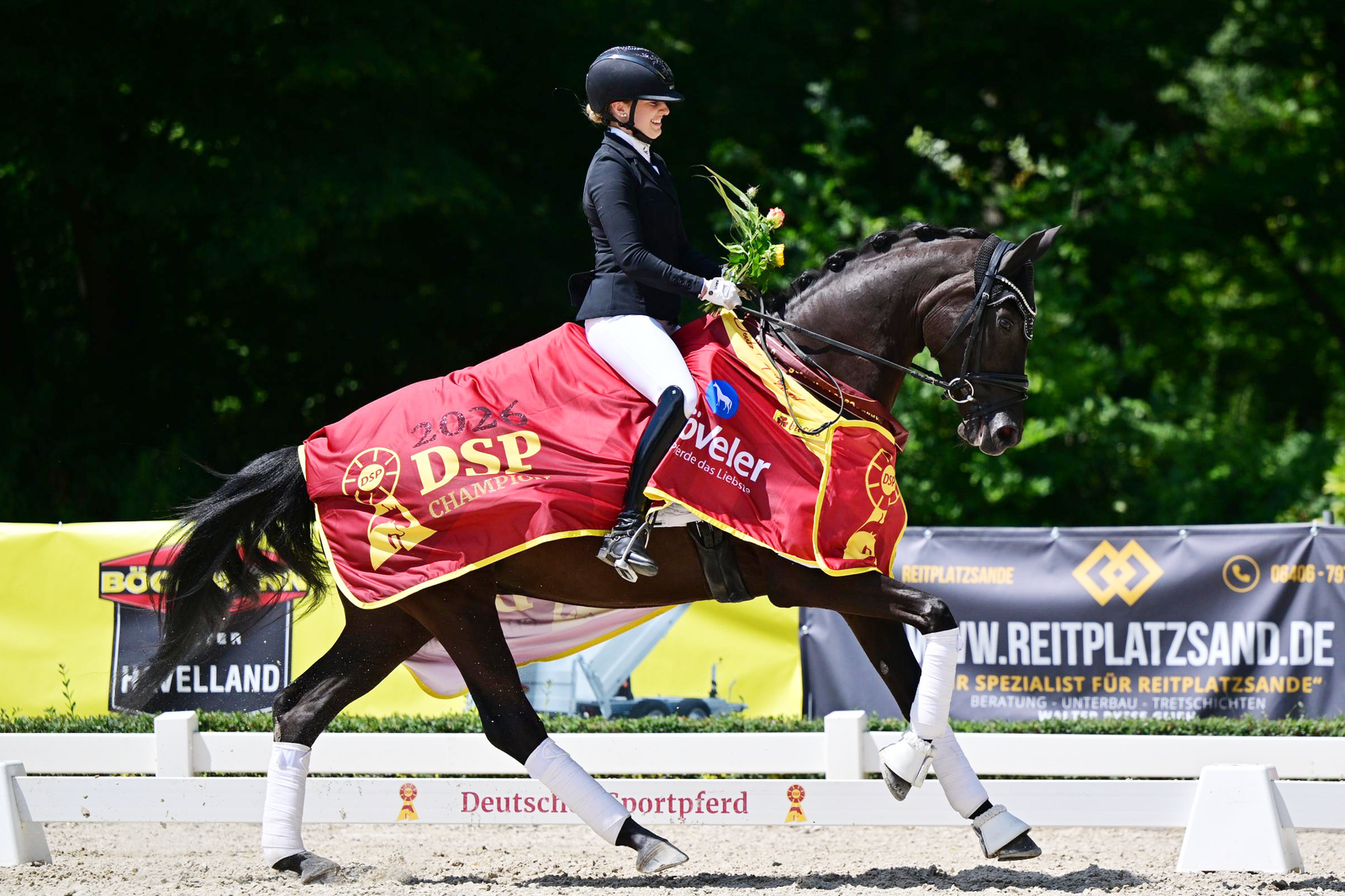 With Lisa Casper in the saddle, La Vie en rose by Lord Leopold won the DSP Championship for four-year-old fillies and geldings in Darmstadt. Photo: DSP/Björn Schroeder
