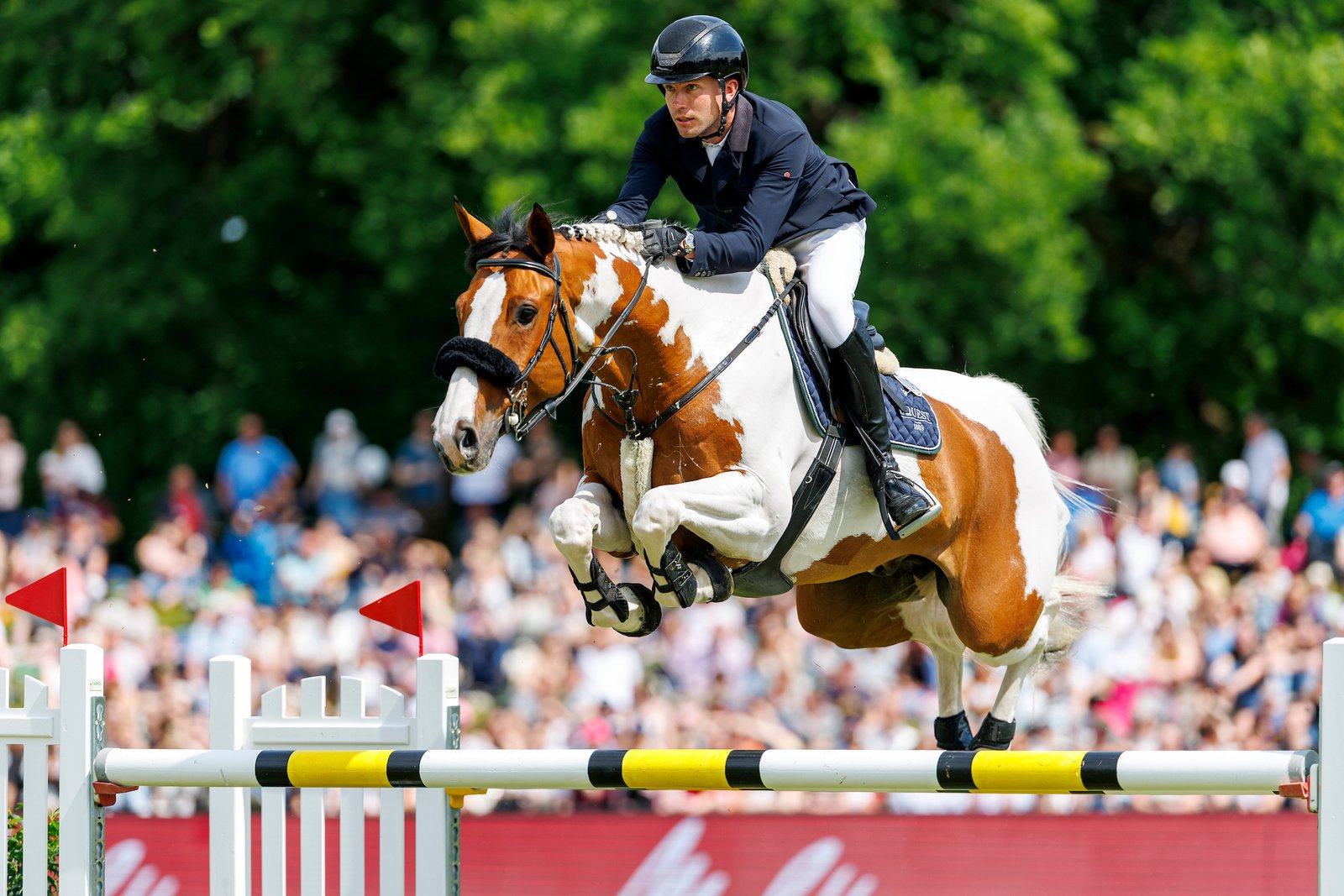 Gerrit Niebergs Toppferd nun bei Denis Lynch