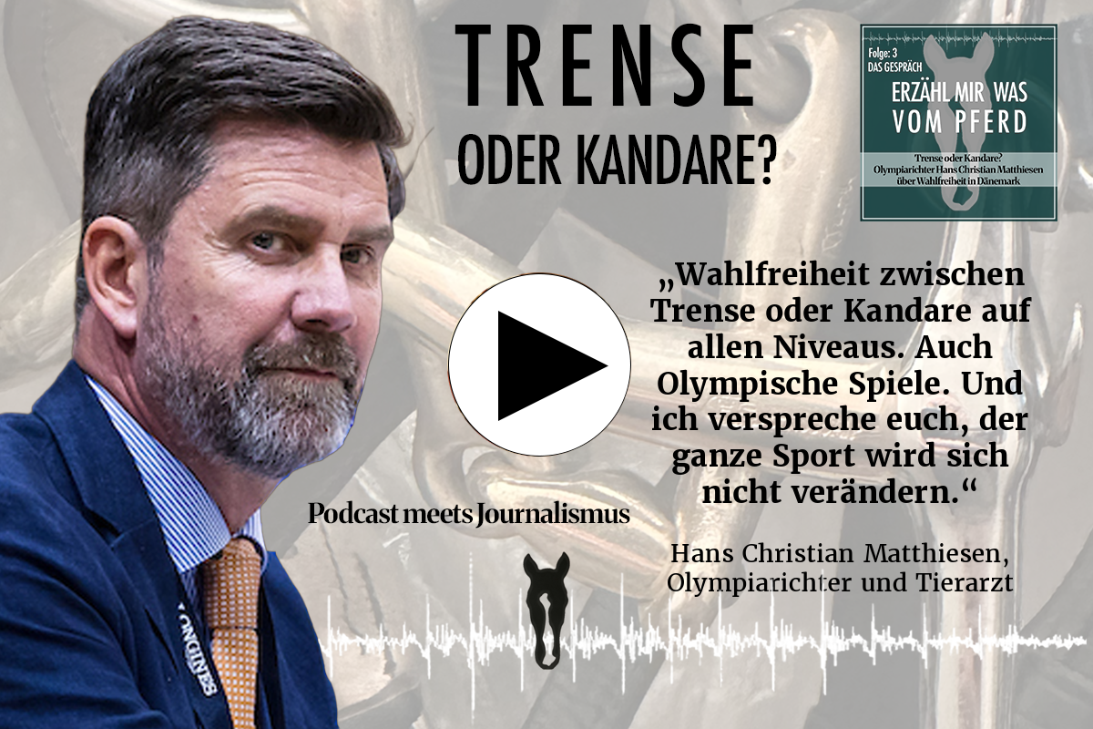 Podcast ERZÄHL MIR WAS VOM PFERD Folge 3: Trense oder Kandare. Foto: sportfotos-lafrentz.de