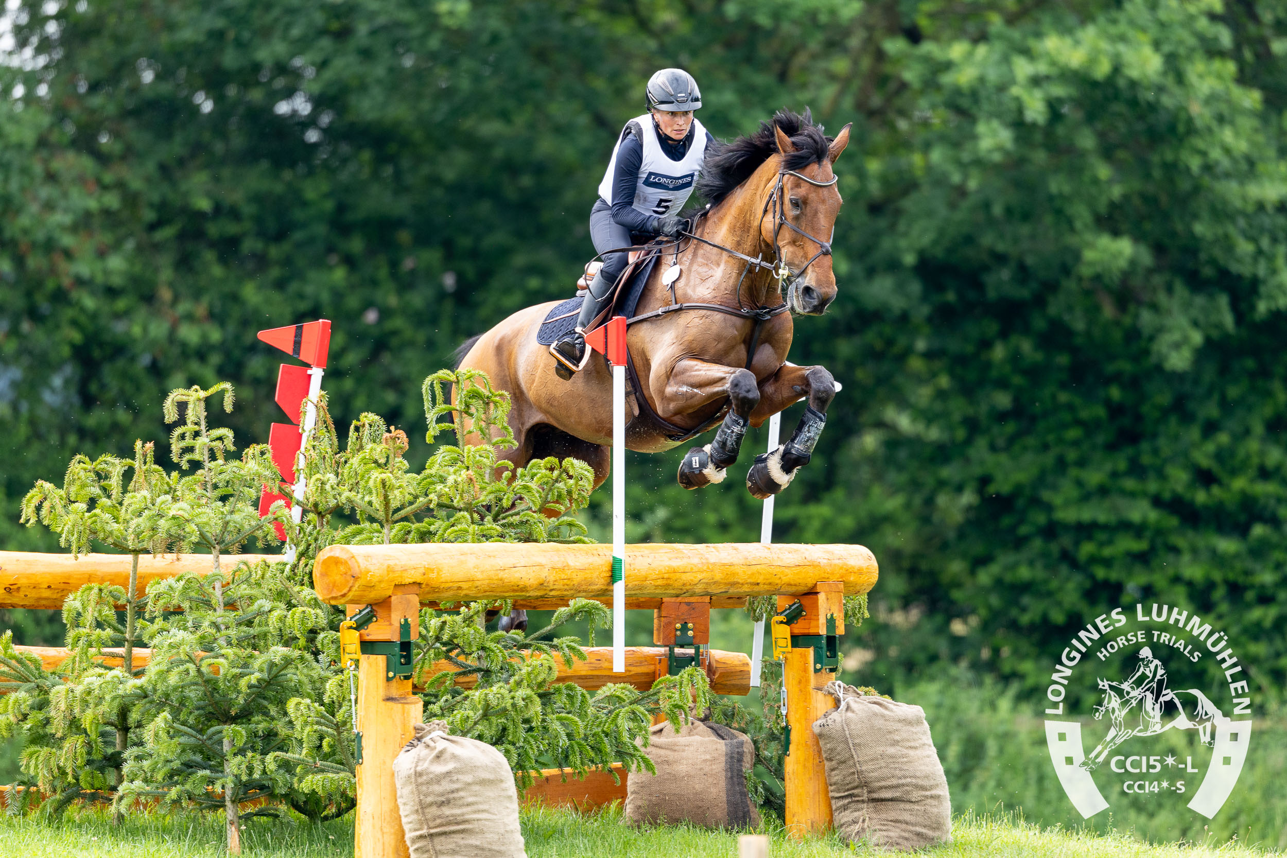 Wie dereinst bei der Jagd in Toppenstedt: N ur fleigen ist schöner – im CCI5*-L-Cross von Luhmühlen 2026. Foto: TGL/foto-ix.de