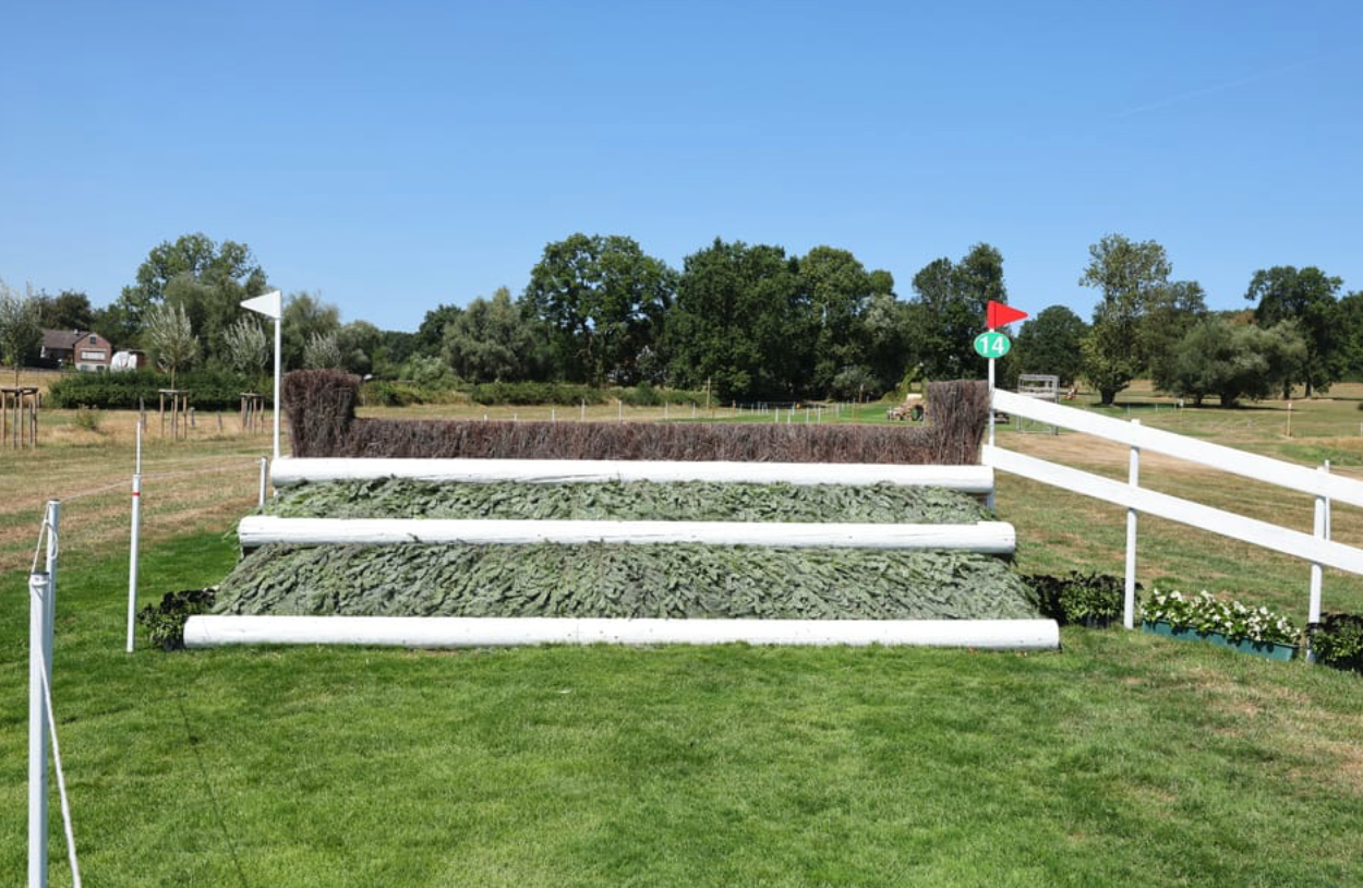 Sprung 14 Steeplechase Brush