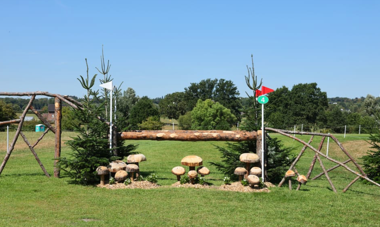 Sprung 4 Mushroom Oxer