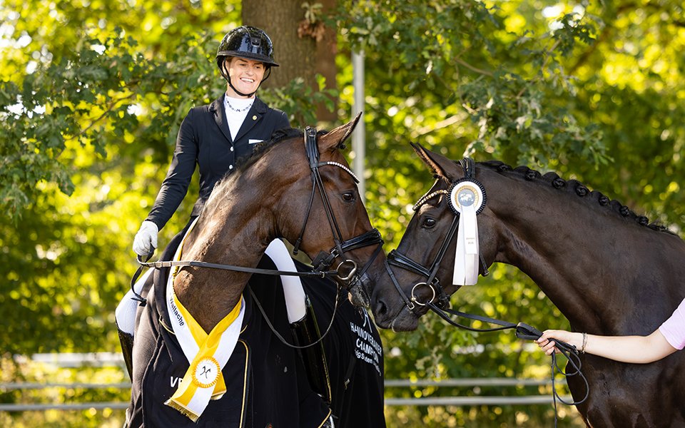 Hannoveraner Reitpferde Championate: Dänen-Hannoveraner top