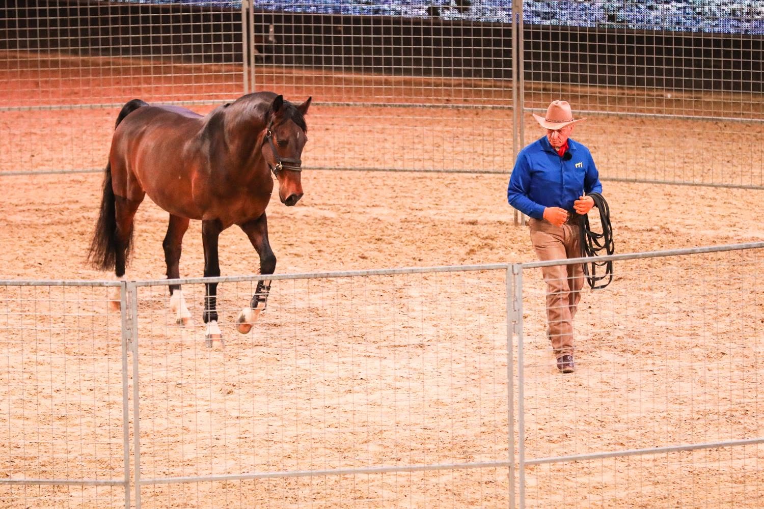 Monty Roberts at EQUITANA in Essen in 2019.
Photo: EQUITANA/Hans Kuczka