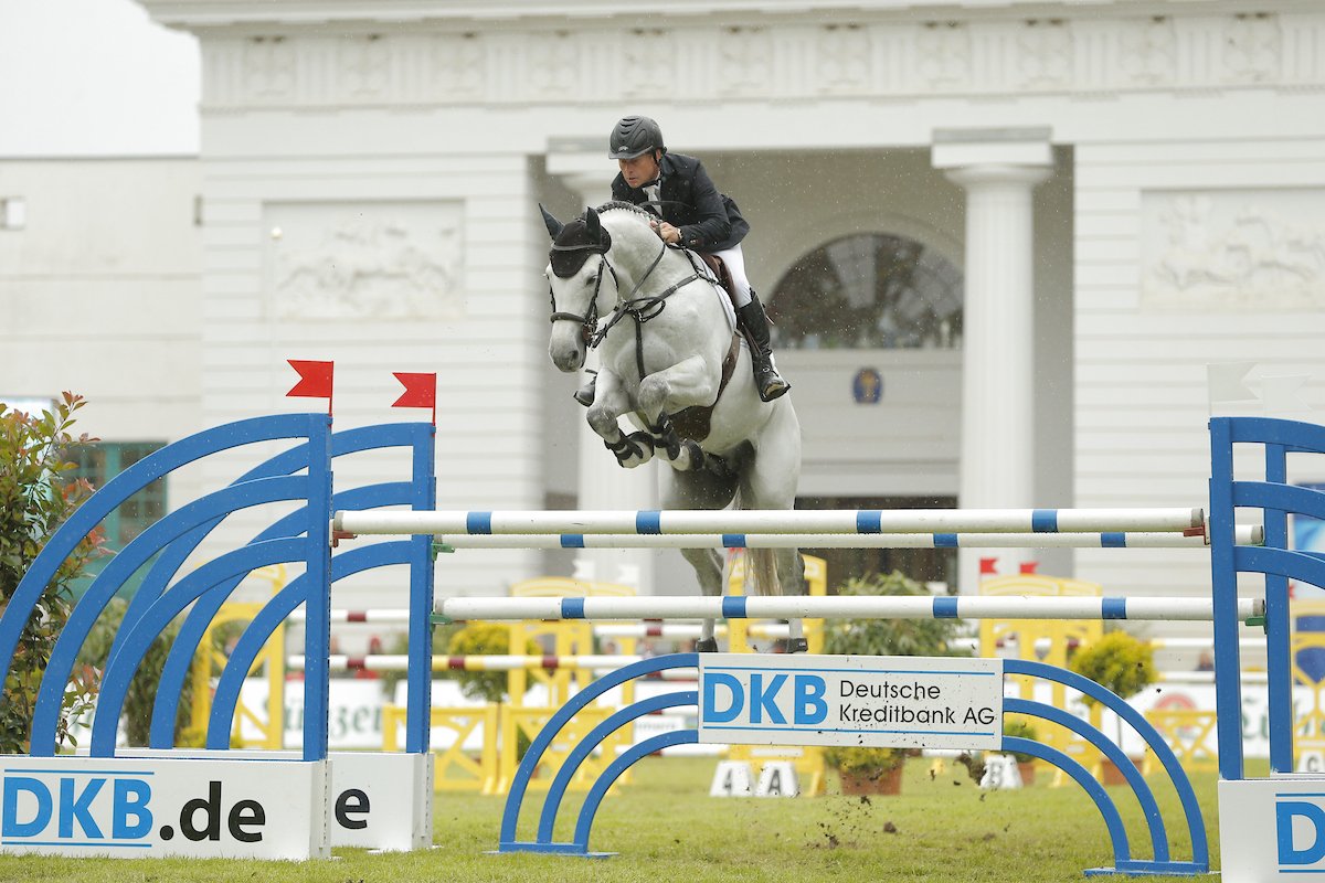 Clarimo v. Clearway, hier unter Rolf Göran Bengtsson, ist der Vater des Bundeschampions der Siebenjährigen 2026, Clarimero. Foto. sportfotos-lafrentz.de
