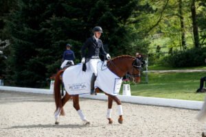 Blue Hors Veneziano von Carina Scholz zu Nachwuchsreiterin