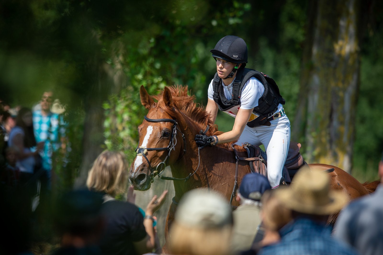 Sandra "Reitmeisterin" Auffarth mit Viamant du Matz auf dem Weg zum CHIO Aachen-Sieg.
Foto: sportfotos-lafrentz.de