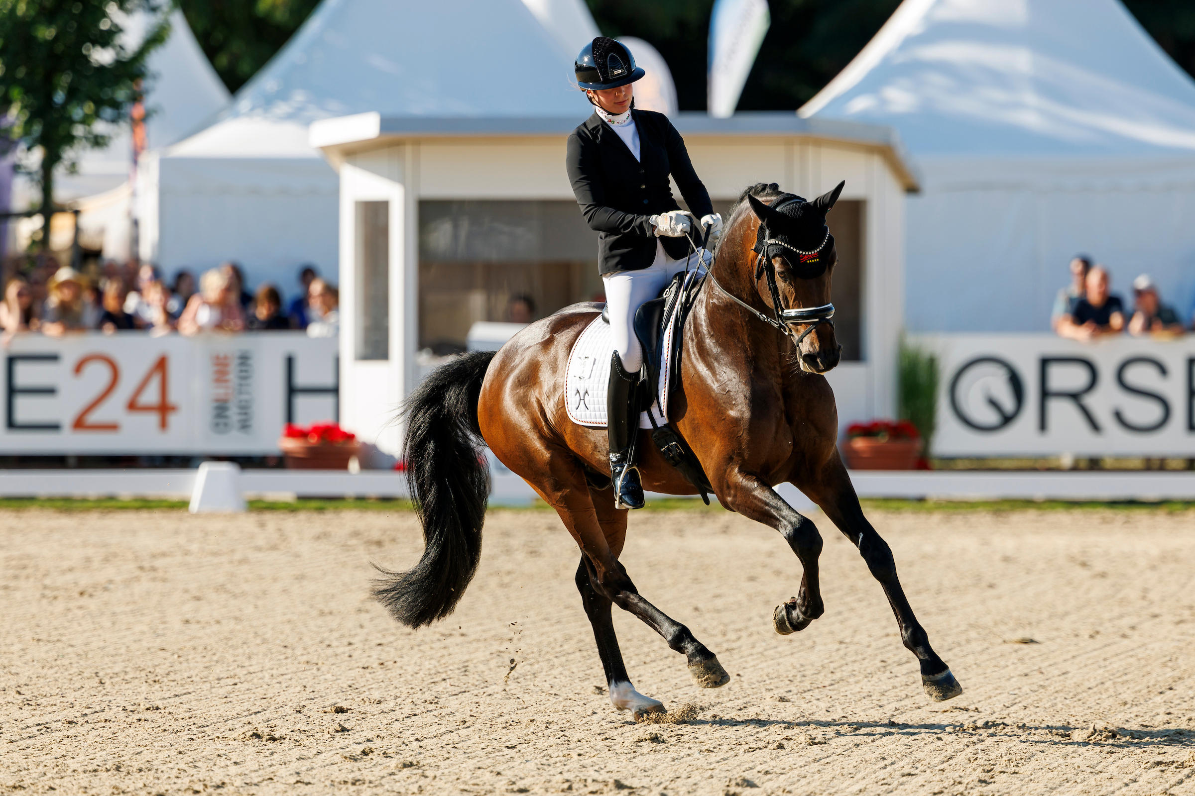Beatrice Arturi und Sir Gribaldi gelang heute eine kleine Sternstunde in Verden. Foto: sportfotos-lafrentz.de