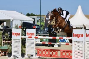 Amateur-Springreiterclub Deutschland (ASC): Nach Feierabend in den Parcours