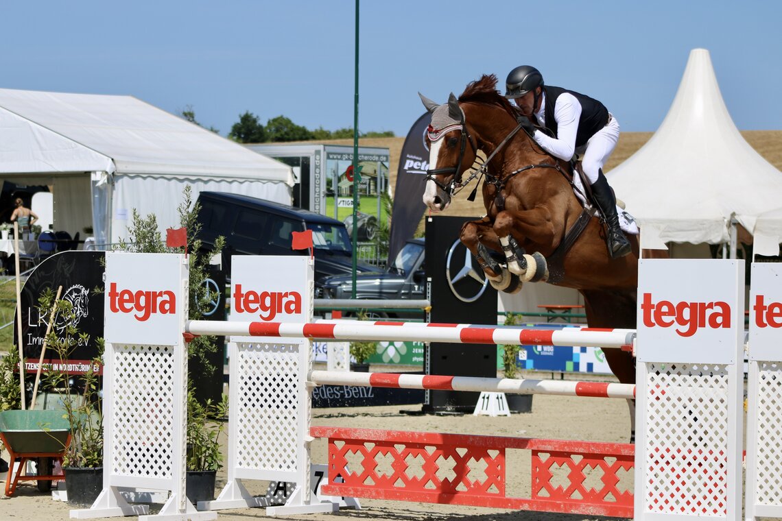 Amateur-Springreiterclub Deutschland (ASC): Nach Feierabend in den Parcours