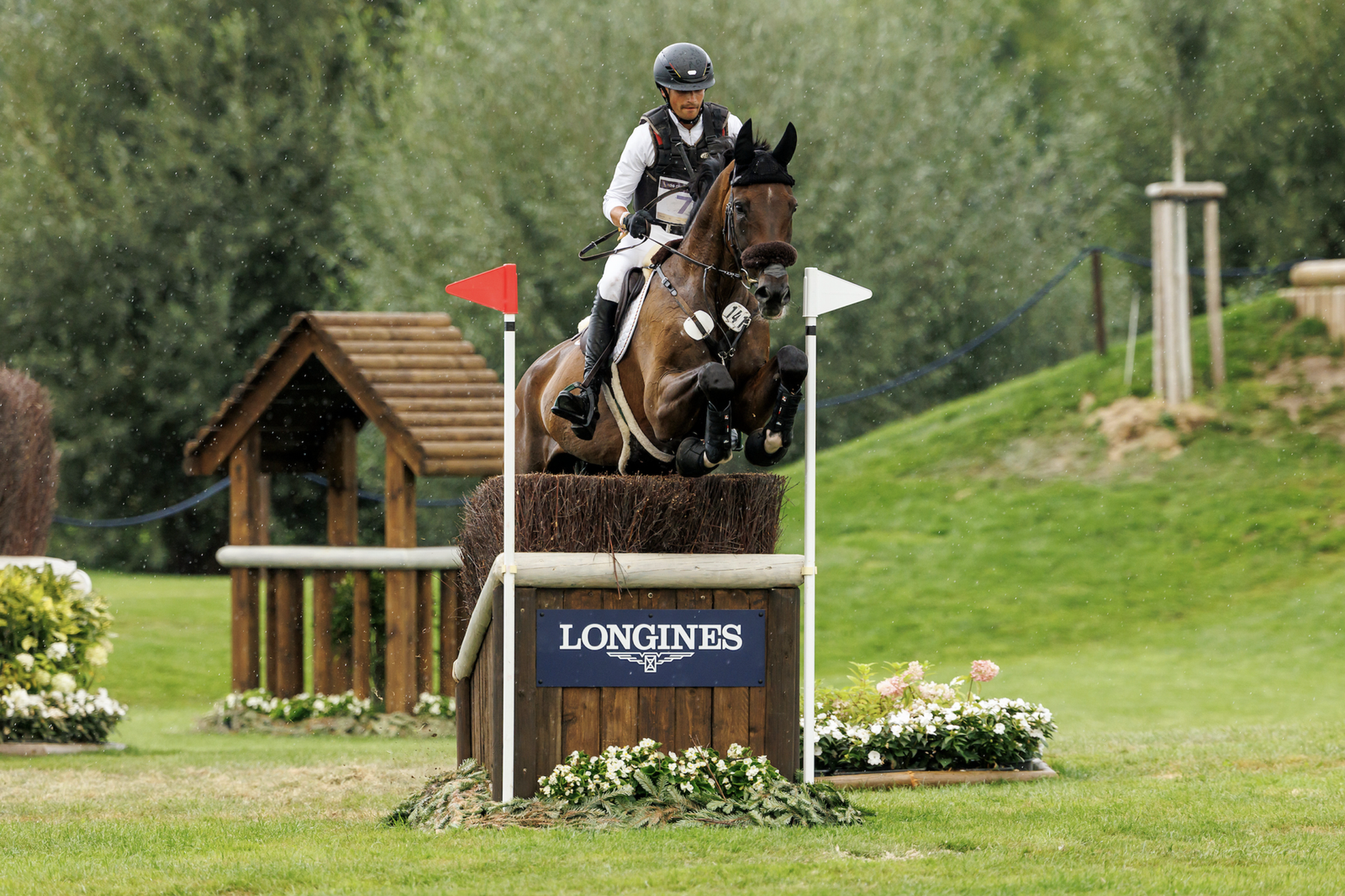 Mit gespitzten Ohren flog Christoph Wahler D'Accord nur so über den Geländekurs von Aachen. Foto: sportfotos-lafrentz.de