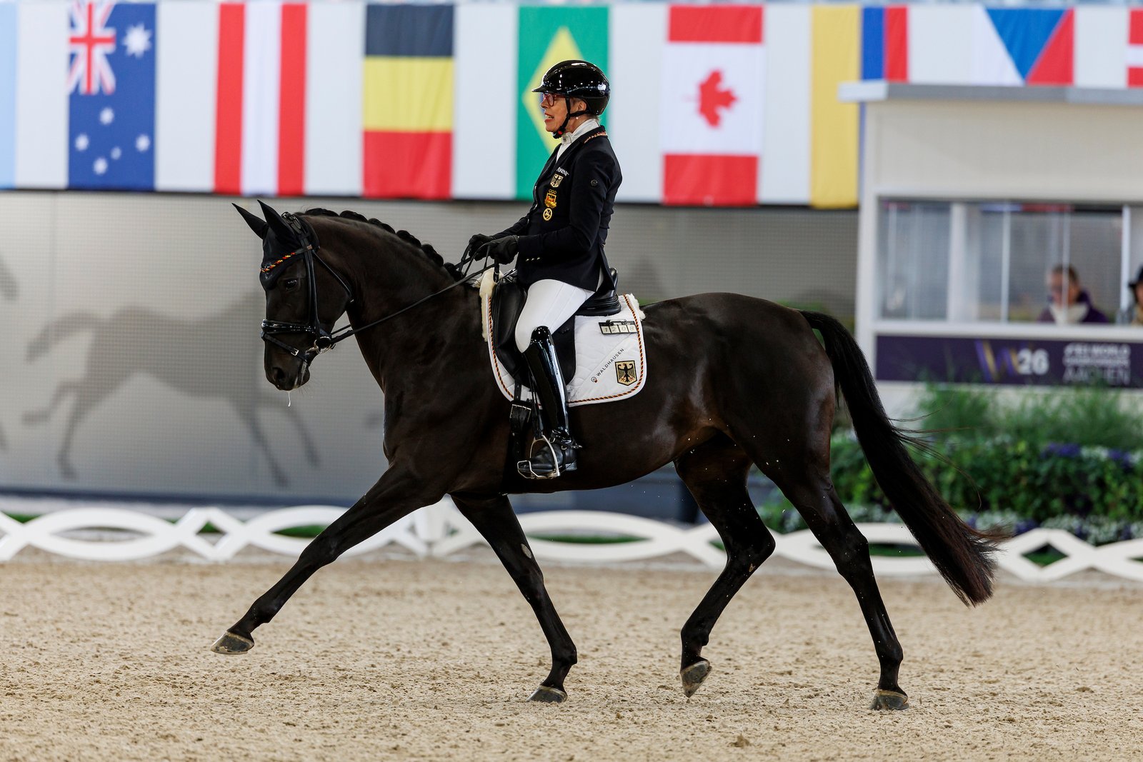 Para-Dressage World Championships Freestyle – Bronze for Dresing and Brandt, Silver for Mispelkamp