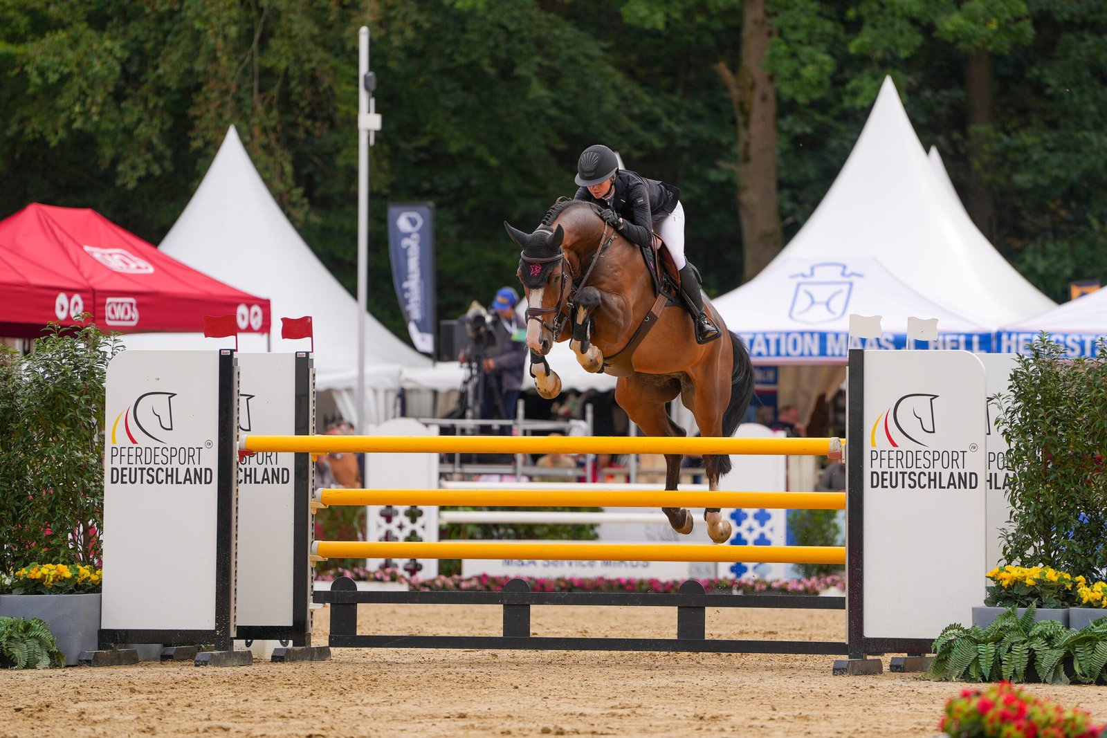 National Championships: Sophie Hinners vs. the Rest of the World (of five-year-old show jumpers)