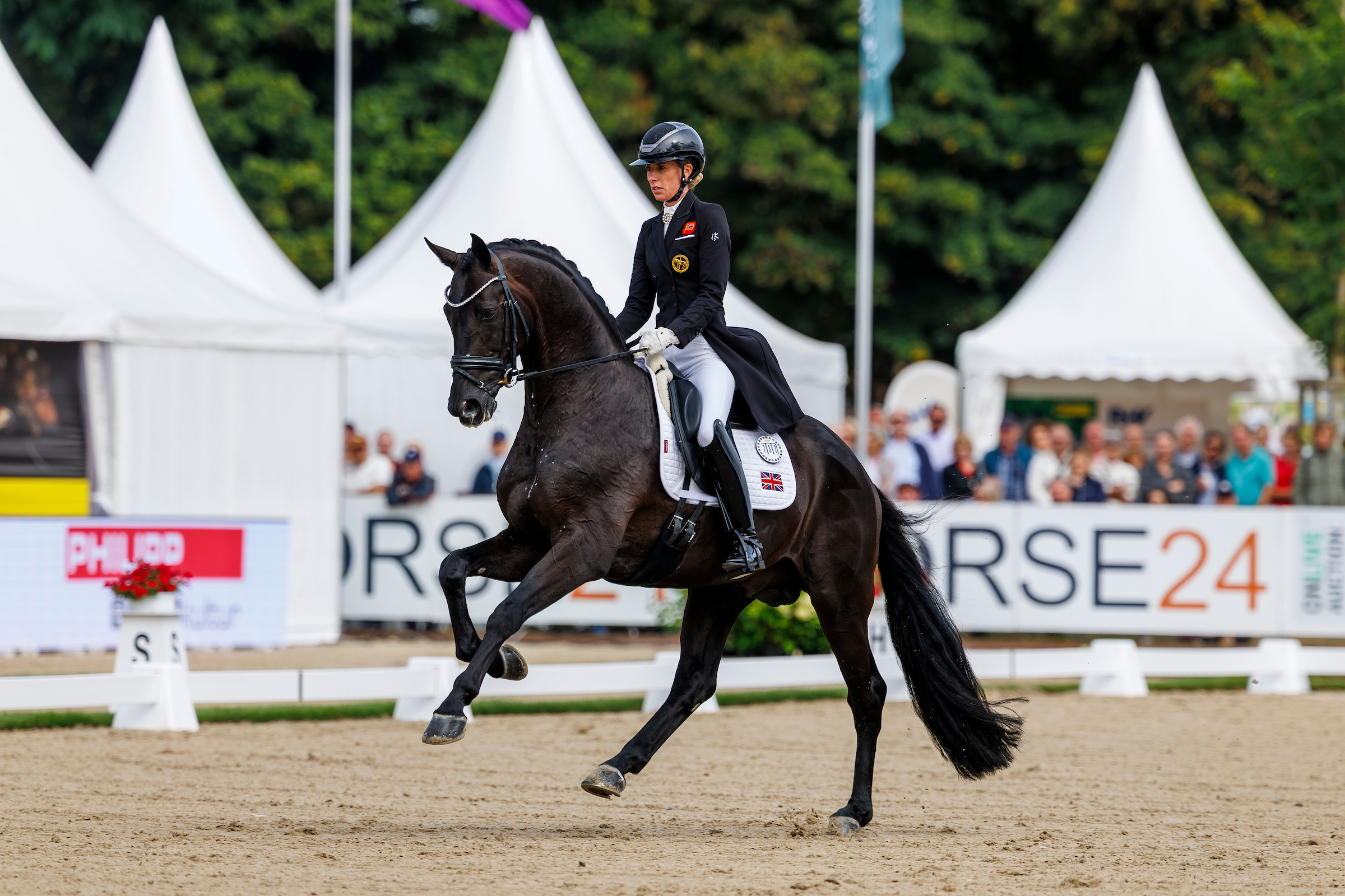 Galopp kann Secret Agent! Foto: Sportfotos-lafrentz.de