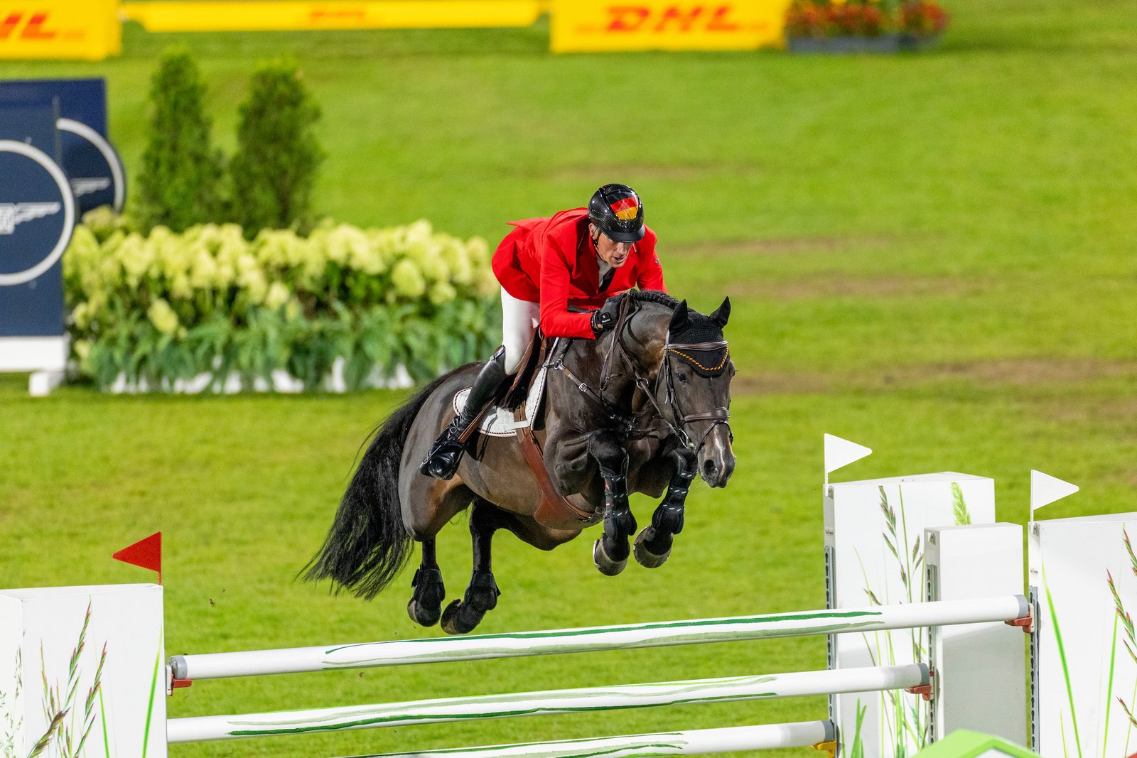Jahrelang flog er mehr oder weniger unter dem Radar, jetzt ist er Weltmeister: Daniel Deußers Otello de Guldenboom (das Gold steckt schon im Namen!).
Foto: sportfotos-lafrentz.de