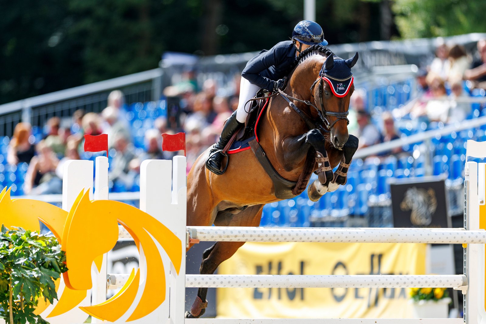 Weltmeisterschaft war gestern, Bundeschampionat ist heute – Sophie Hinners sahnt am Springplatz ab