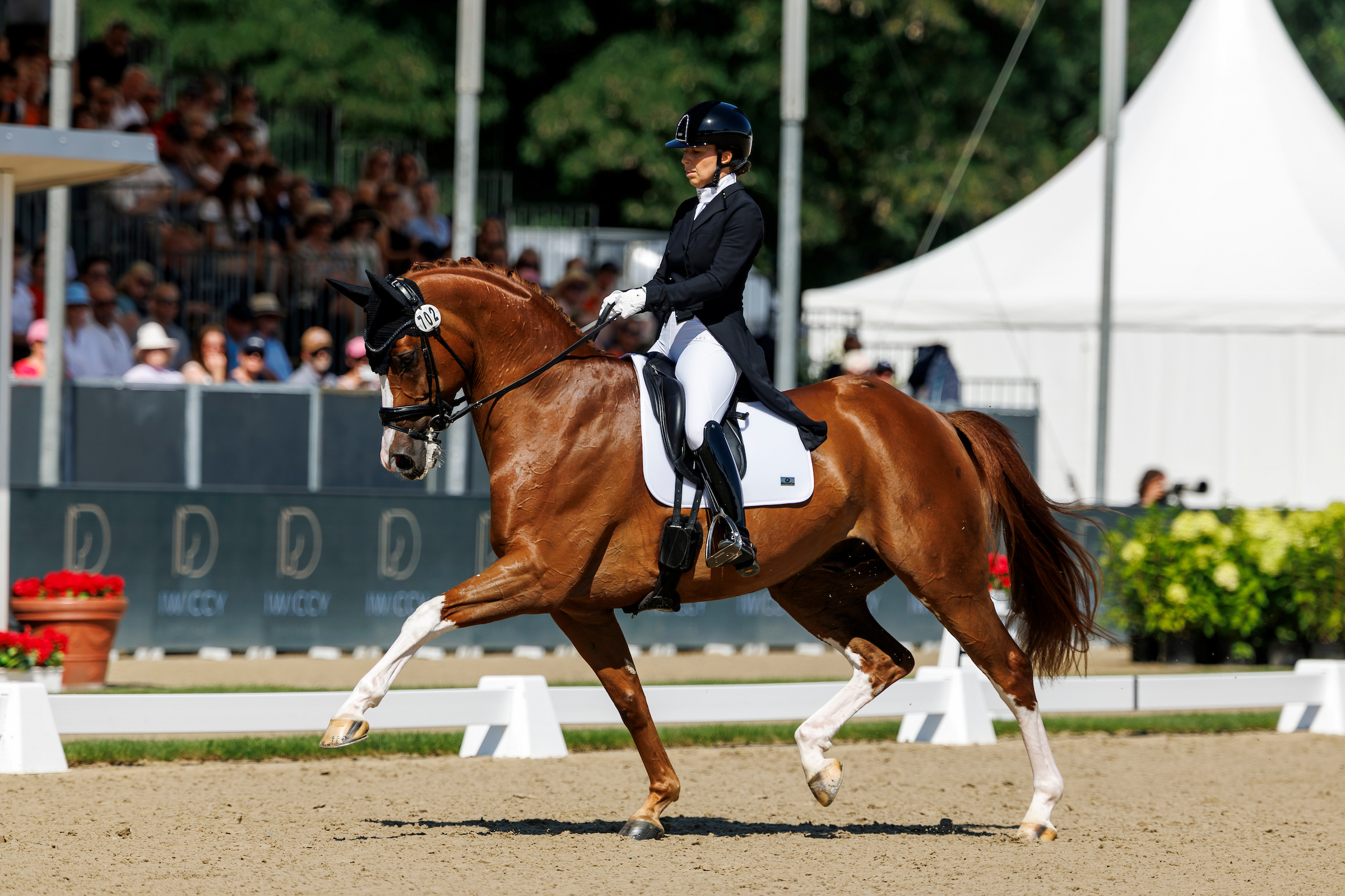 Ein kleiner elastischer Gummiball: Belcanto HB unter der Portugiesin Mafalda Galiza Mendes. Foto: sportfotos-lafrentz.de