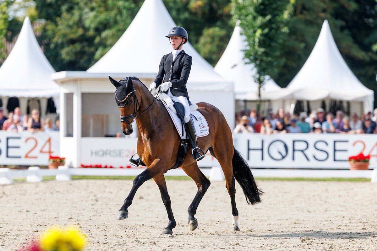 Bundeschampionat siebenjährige Dressurpferde: Felice klar in Pole Position