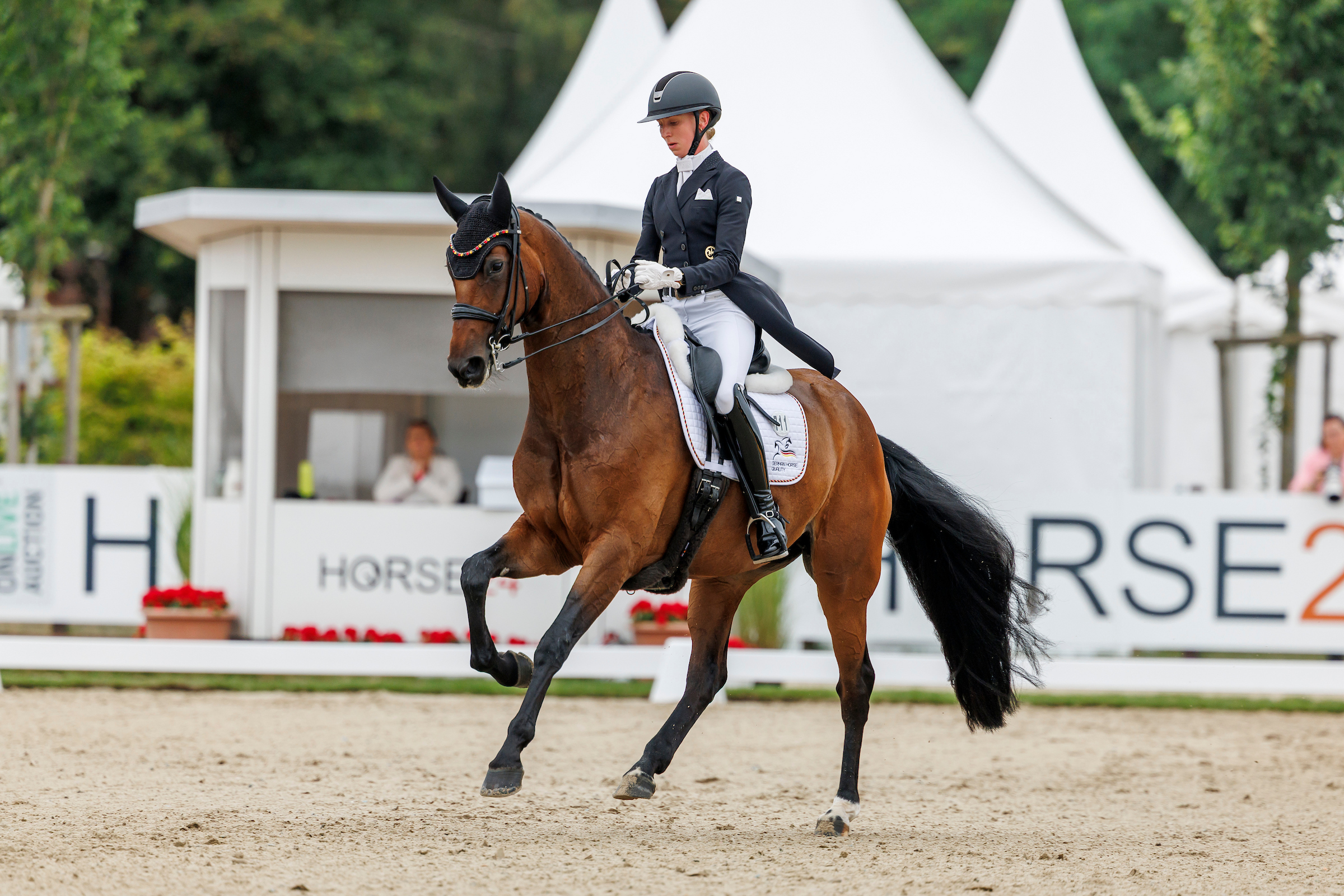 Primaballerina Felice FRH, fein vorgestellt von Greta Heemsoth. Foto: sportfotos-lafrentz.de