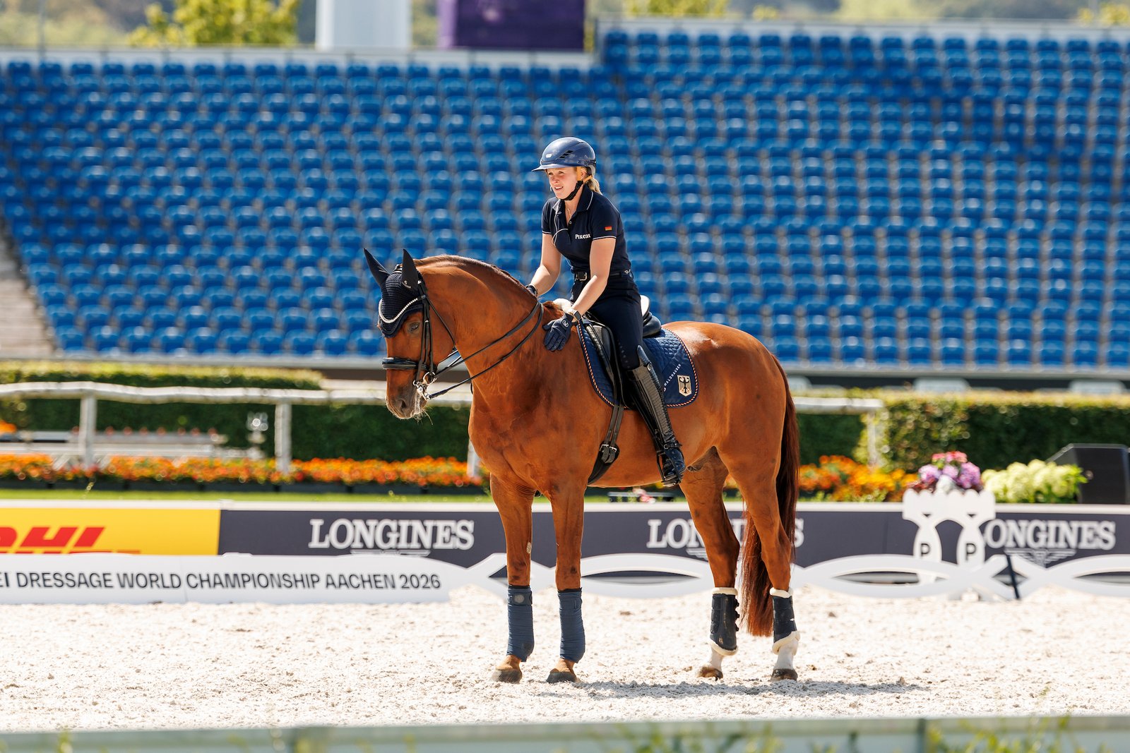 Halten, stehen, loben – Katharina Hemmer und Denoix. Foto: sportfotos-lafrentz.de