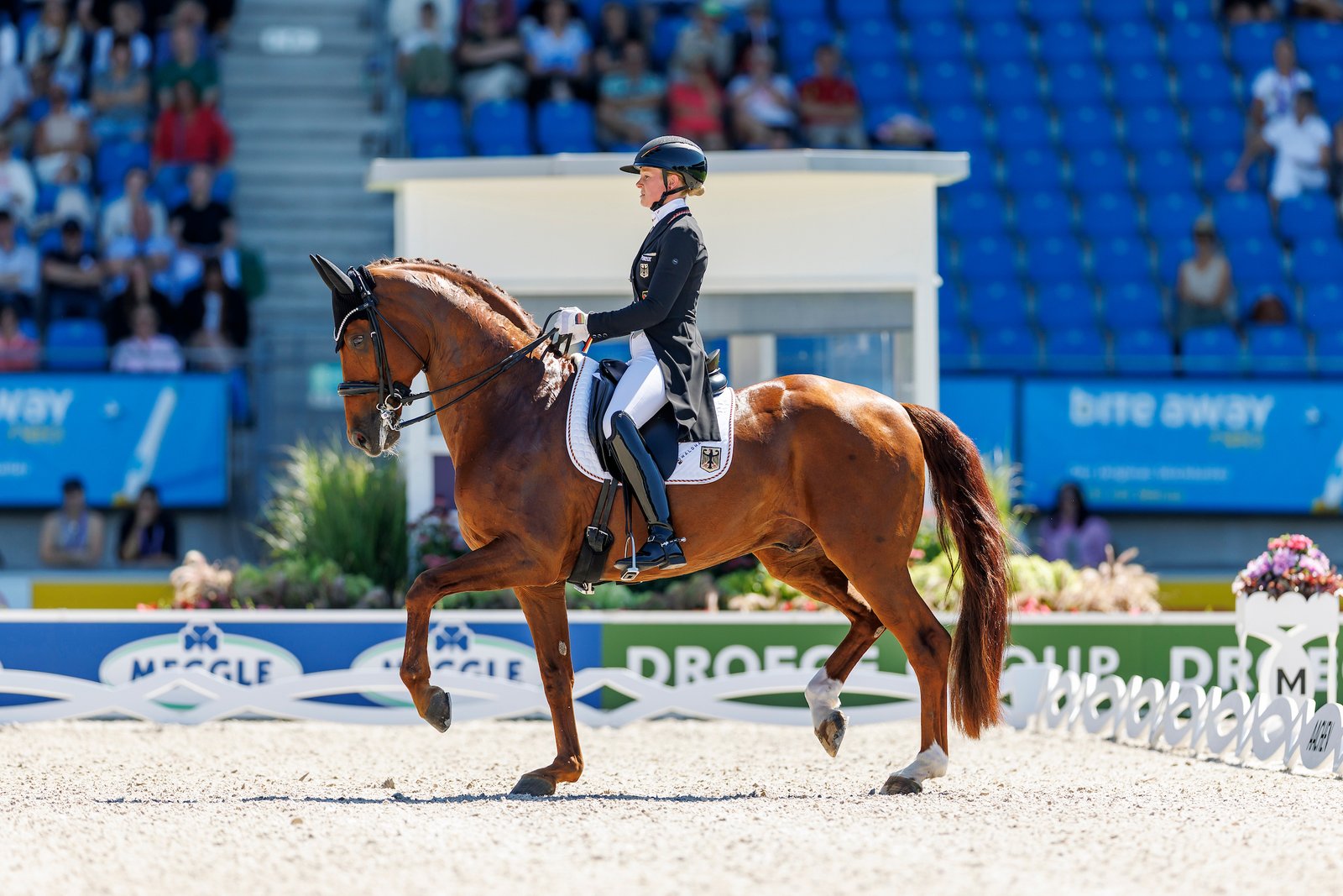 Einfach nur gut: Katharina Hemmer und Denoix in der Passage. Foto: www.sportfotos-lafrentz.de