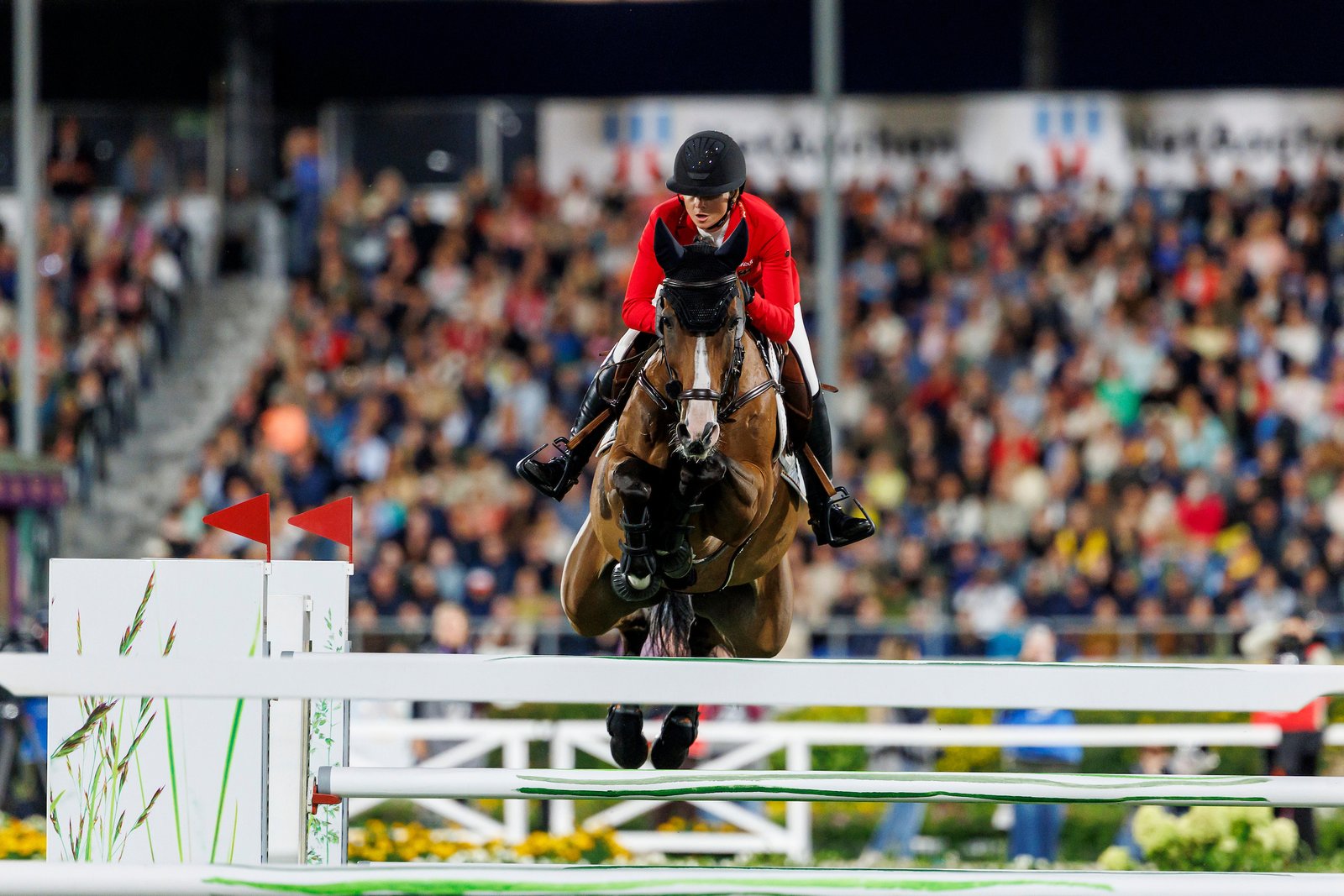 In jedem Parcours absolut souverän: Sophie Hinners und Singclair.

