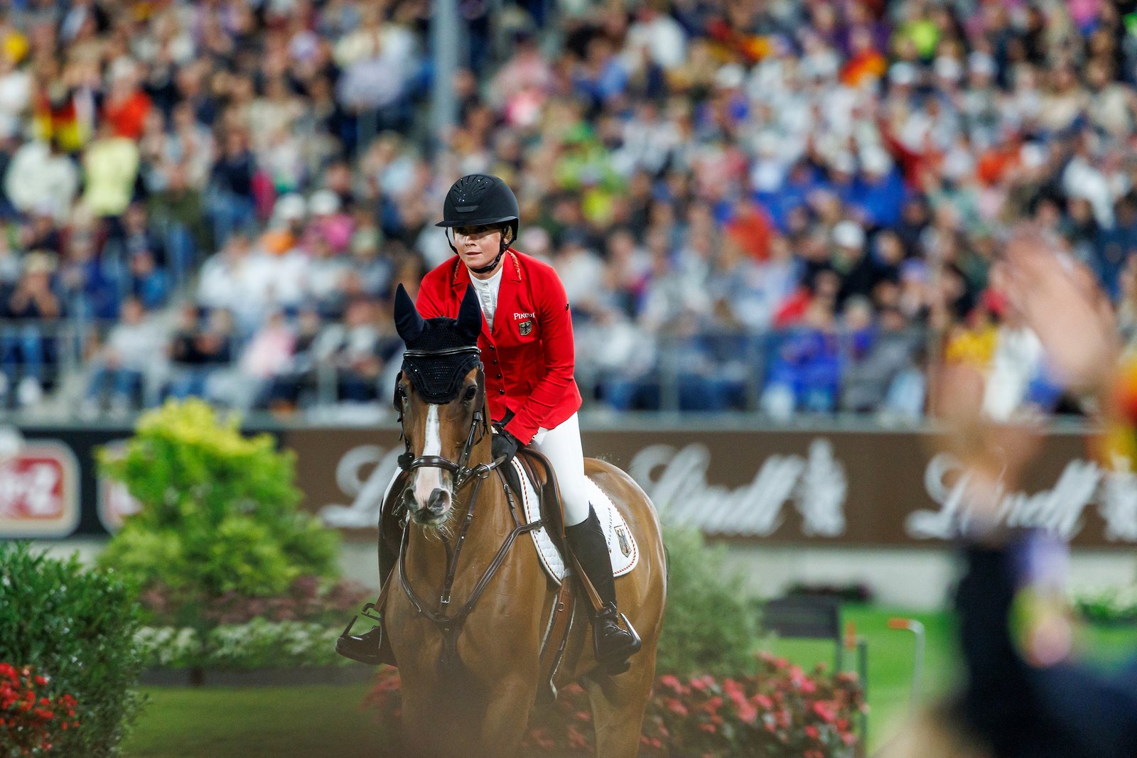 Geliefert wie bestellt – Sophie Hinners und Singclair.
