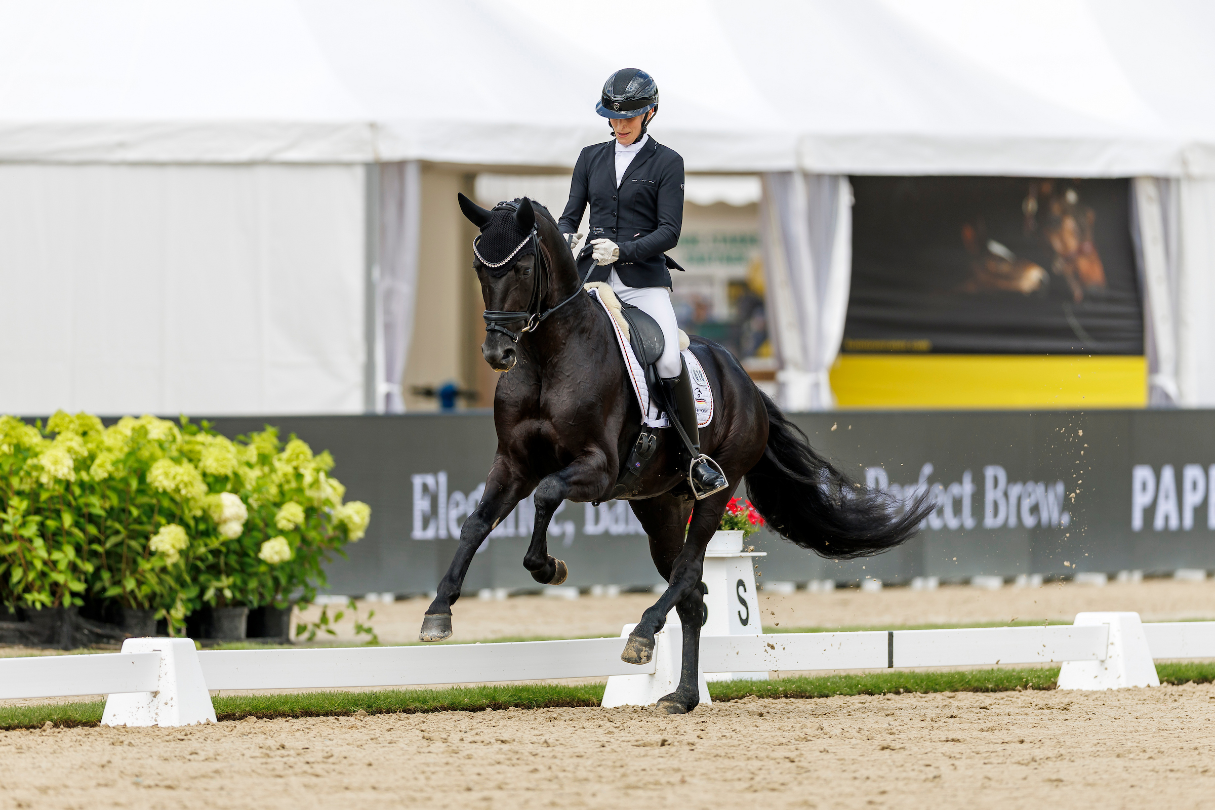Bergauf hat einen Namen: Lodovico. Foto: sportfotos-lafrentz.de