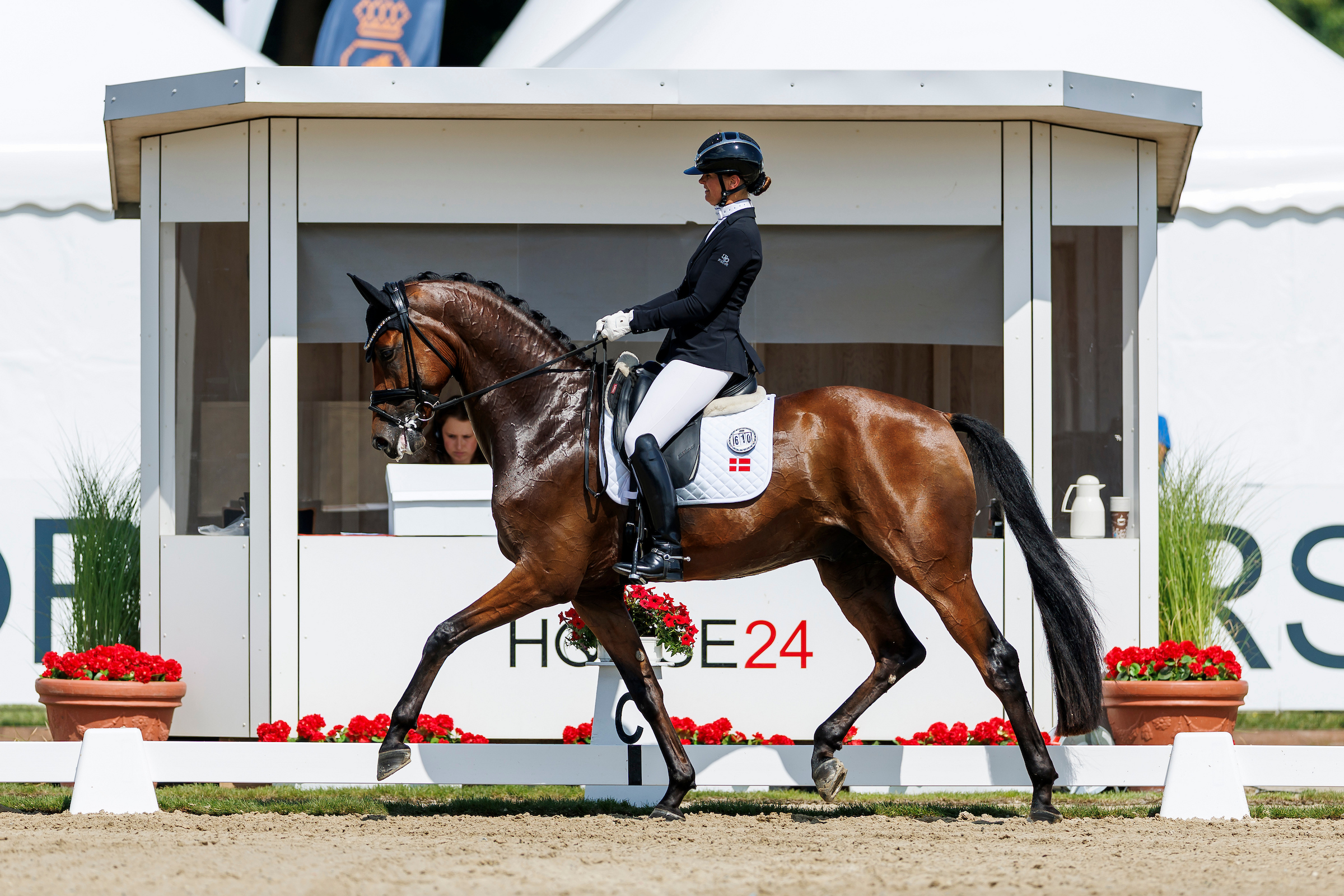 Faustino G. mit Betina Jæger Jensen – 9,7 für den Trab. Foto: sportfotos-lafrentz.de