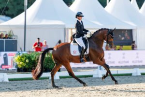 WM Verden: Dänisches Gold, Bronze für Sir Gribaldi, Viva Diamond toll, aber heiß