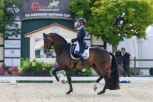 Ausfall im US-Dressurteam für die WM in Aachen