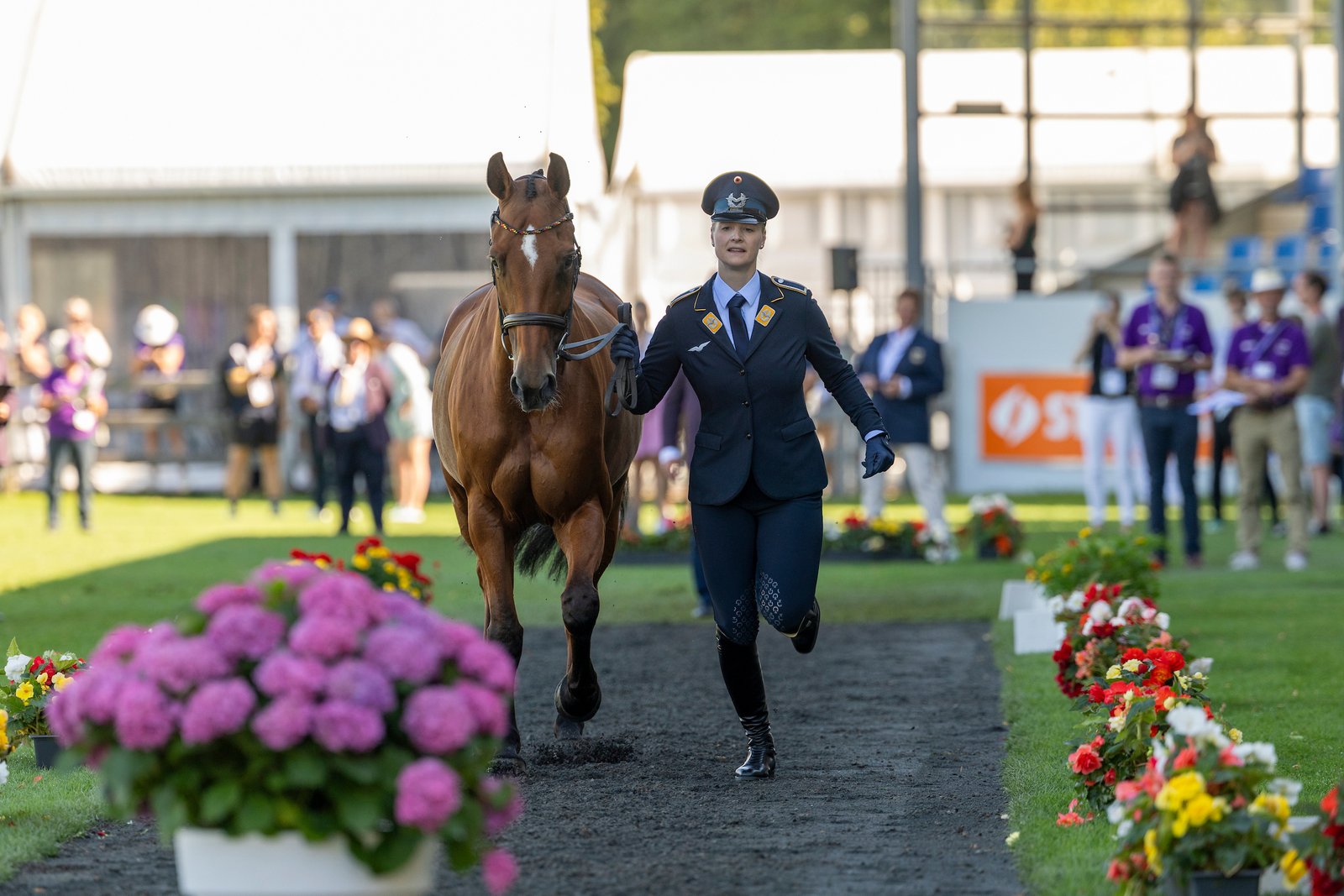"Sie trabte wie immer" – wieso Libussa Lübbekes Caramia in die Holding Box sollte, hat keiner aus dem deutschen Team verstanden.
Foto: sportfotos-lafrentz.de/Dirk Caremans