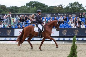 Das neue Reitpferde-Bundeschampionat – Top oder Flop?