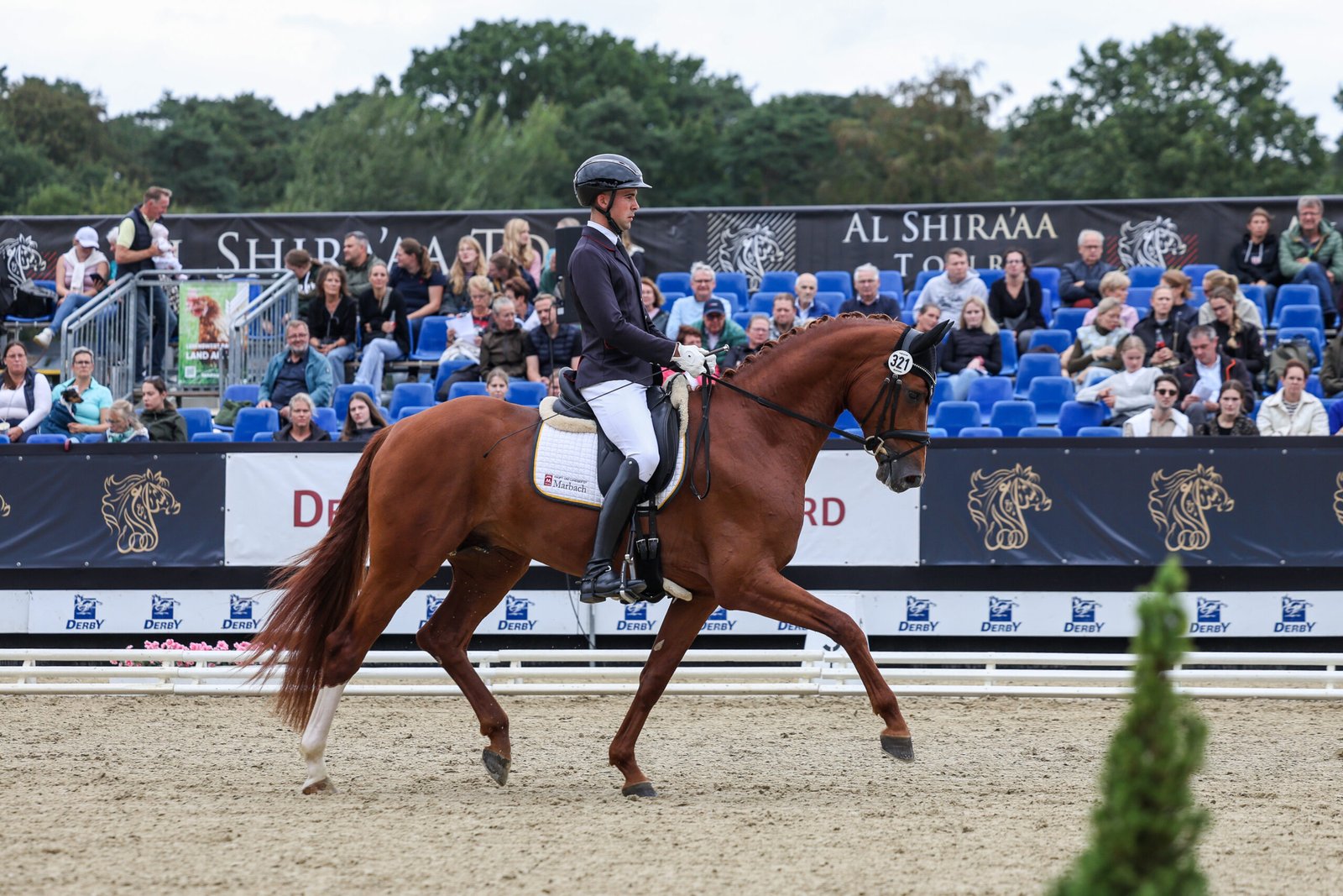 Das neue Reitpferde-Bundeschampionat – Top oder Flop?