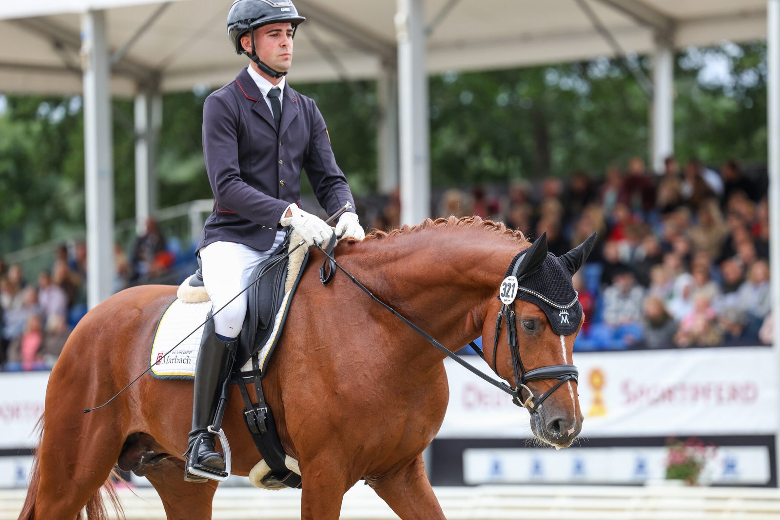 Linus Keller with Danubio, bronze medalist at the 2026 National Championship for Four-Year-Old Riding Horse Stallions, as well as recipient of the BMLEH and Xenophon Animal Welfare Awards. Photo: Rebecca Thamm