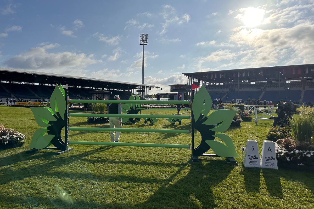 5a/5b: light green steep jump, followed by an oxer