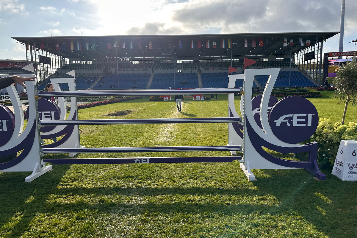6 FEI oxers in the International Equestrian Federation’s purple