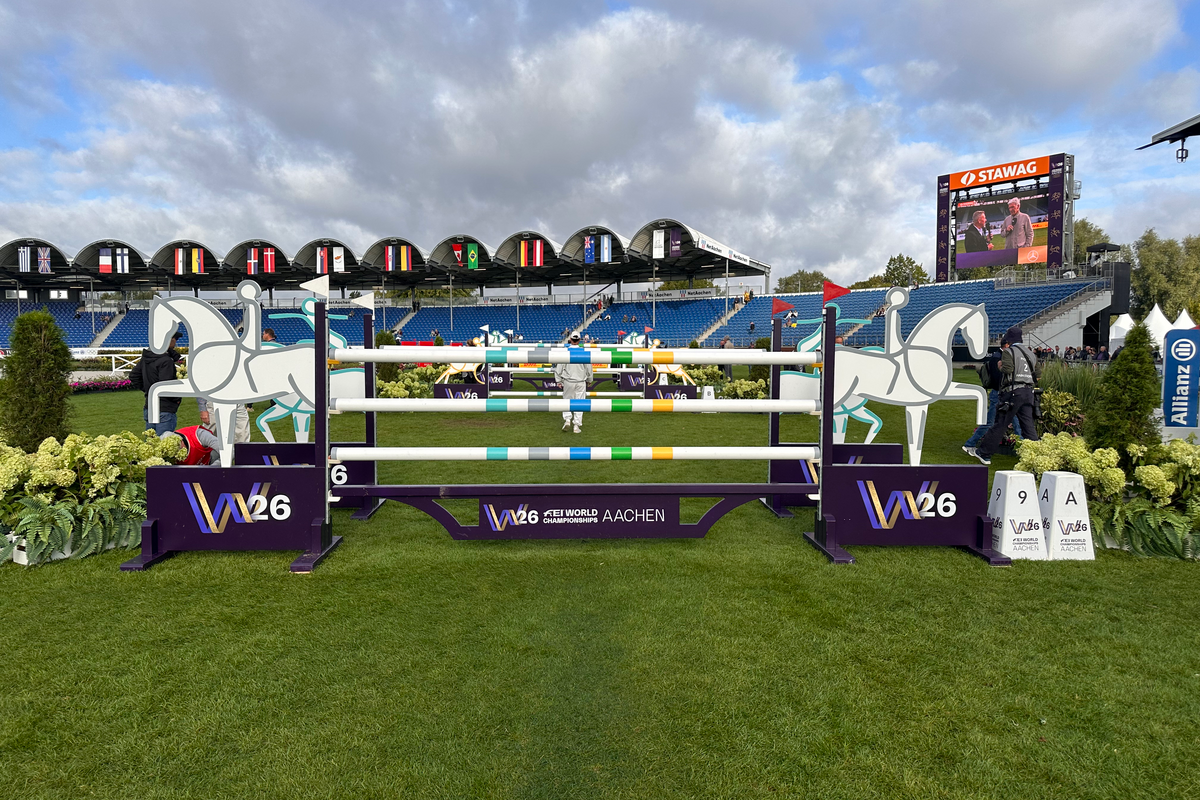 9a/b/c The triple FEI combination featuring the six World Championship disciplines: oxer entry, vertical, oxer exit.