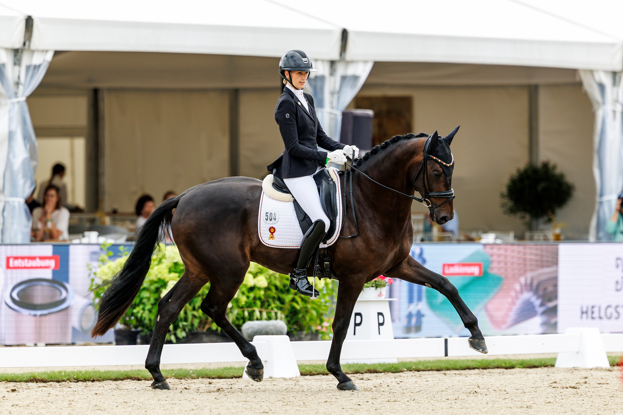 Lord Löwenherz, ridden by Ellen Richter, earned a 9.8 today for his trot, which truly left little to be desired. Photo: sportfotos-lafrentz.de