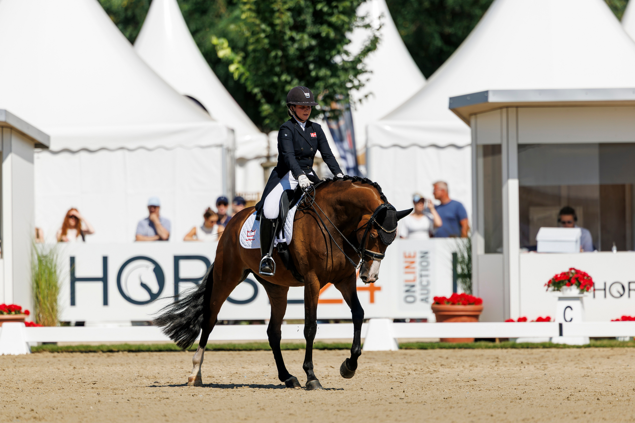 Nicht nur im Schritt eine Wucht: Bronzemedaillengewinnerin Brandtbjergs Divya unter Theresa Rosenkilde. Foto: sportfotos-lafrentz.de