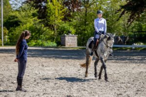 FN informiert über Umsatzsteuer Regelung für Reitunterricht
