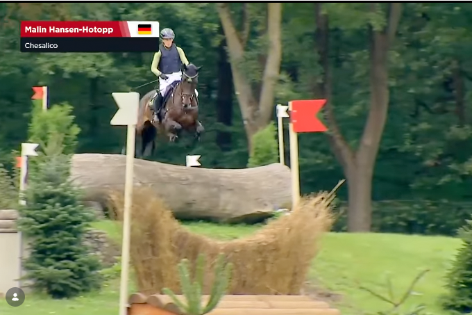 Chesalico v. Chezaro gewann unter Malin Hansen-Hotopp das Bundeschampionat der fünfjährigen Vielseitigkeitspferde. Foto: Screenshot clipmyhorse