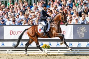 Qualifikation Bundeschampionat der fünfjährigen Dressurpferde an Vorjahressilbermedaillengewinner und Newcomerin