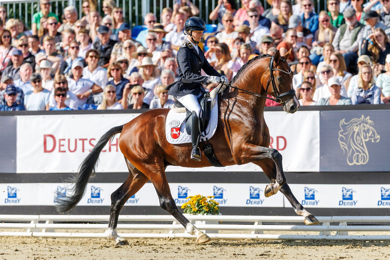 Qualifikation Bundeschampionat der fünfjährigen Dressurpferde an Vorjahressilbermedaillengewinner und Newcomerin