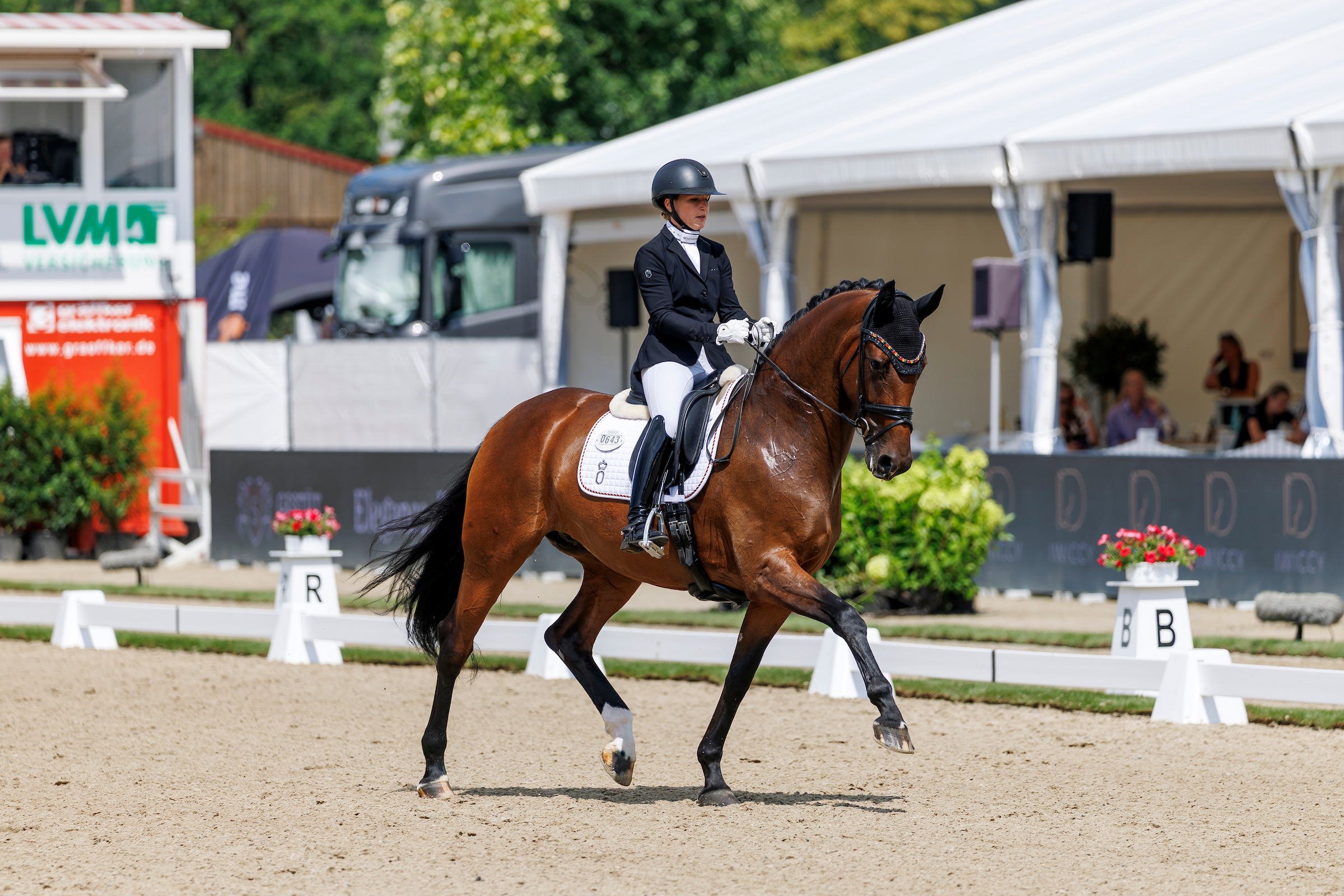 Auch dieses Jahr das Bild eines zufriedenen Pferdes mit herrlicher Anlehnung: Viva Diamond OLD mit Linda Weiß. Foto: sportfotos-lafrentz.de