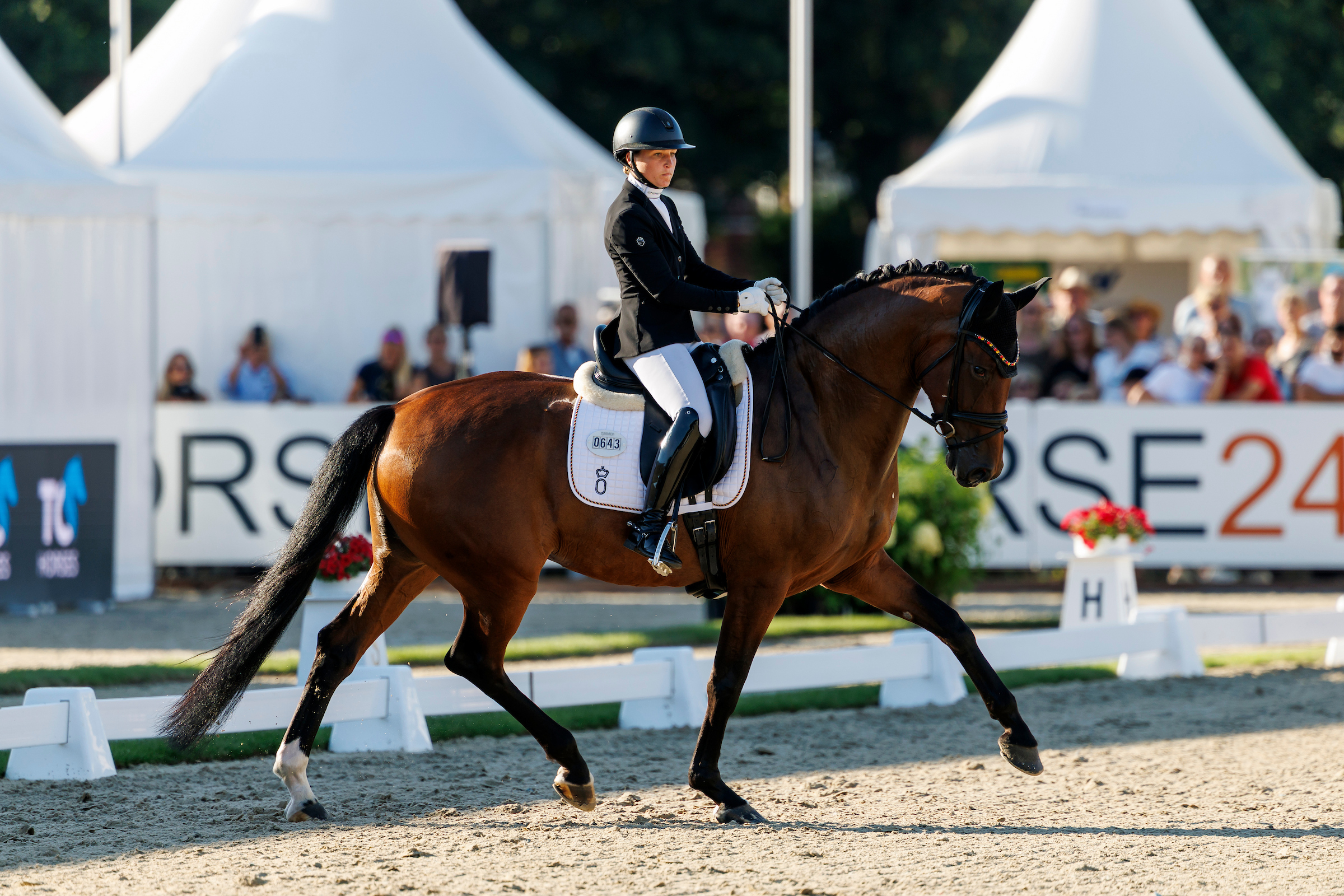 Viele Highlights, aber auch Momente zum Luft anhalten bei Linda Weiß und Viva Diamond OLD. Foto: sportfotos-lafrentz.de