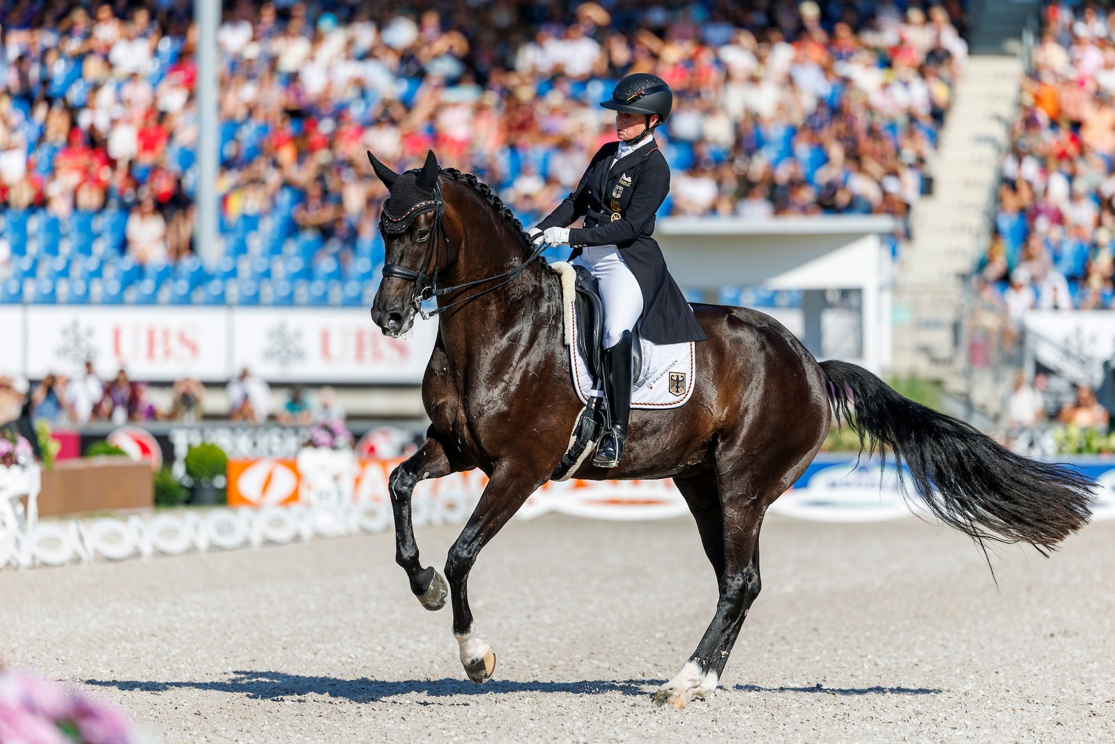 World Championships in Aachen, Dressage: Start Times for the Freestyle – Werth and Wendy Will Close Out the Competition