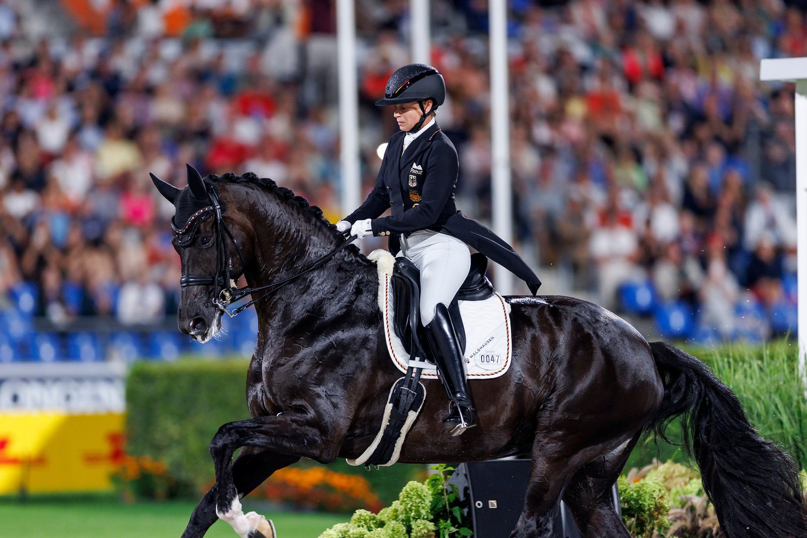 Isabell Werth und Wendy waren gestern letztes Paar und die erfolgreichste deutsche Olympionikin aller Zeiten sagte später, bei den Vorleistungen hätte es nur eine Devise gegeben: die Flucht nach vorn.
