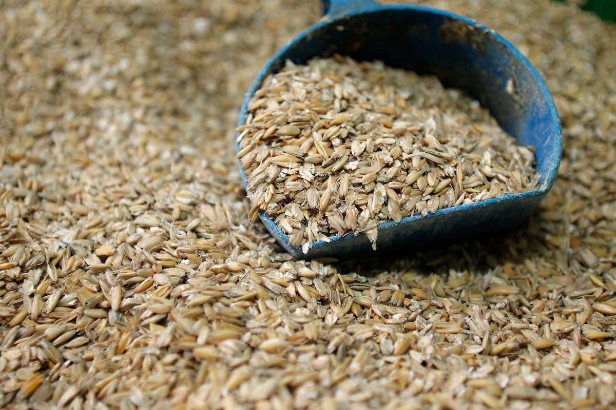 Why Horse Feed Has Become So Expensive: A Look at Commodity Markets, Harvests, and Energy Prices